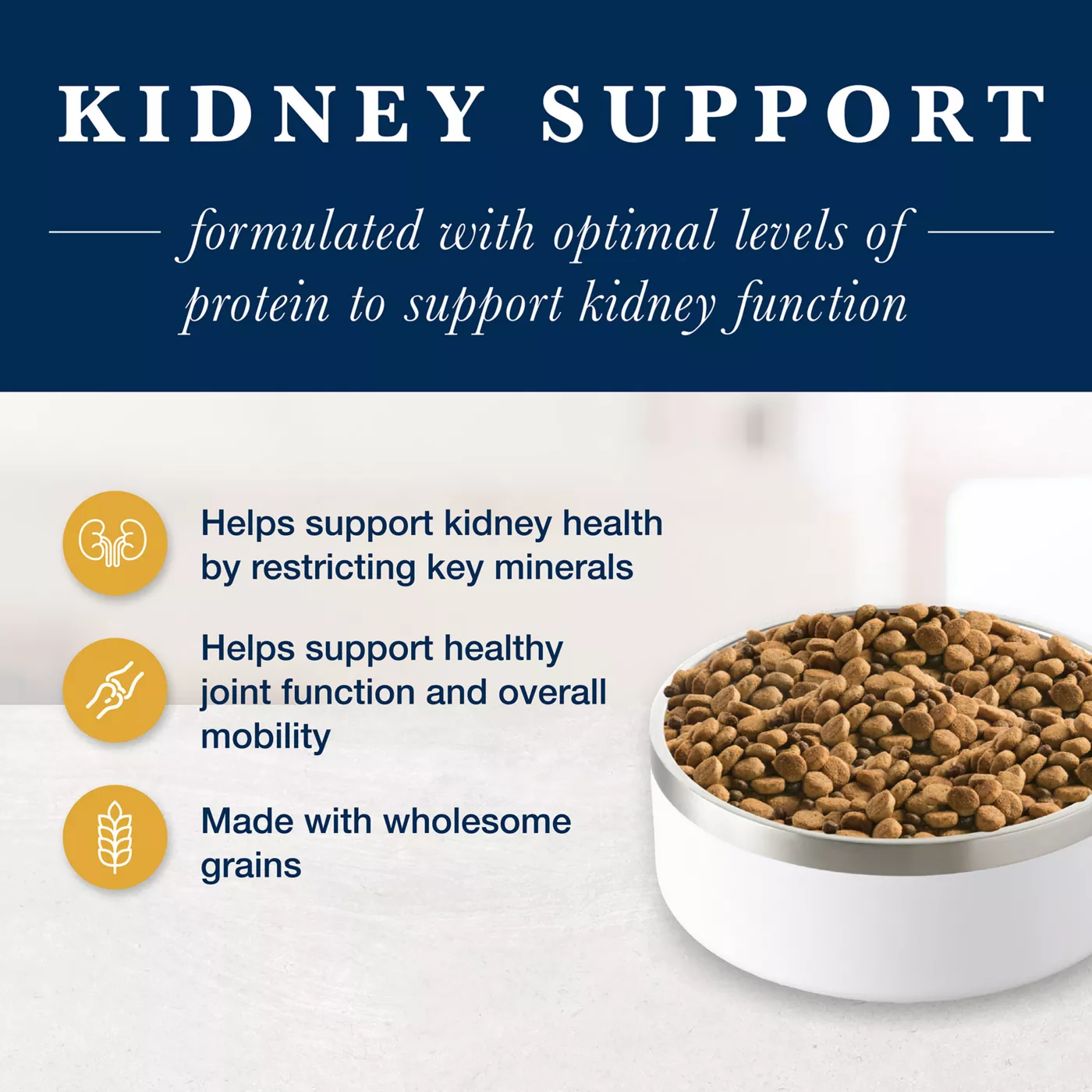 Homemade dog food kidney disease best sale