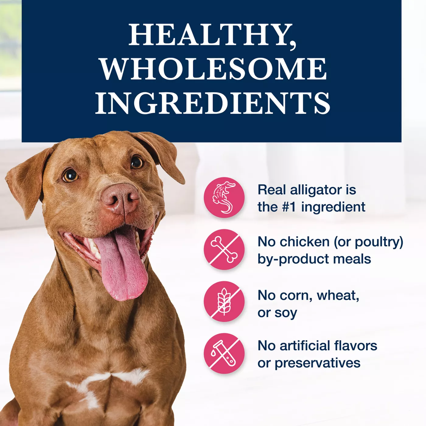 BLUE Natural Veterinary Diet NP Novel Protein Alligator Dry Dog Food