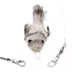 Cat Lures Fishfly Attachment Cat Toy image thumbnail 2
