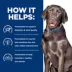 Hill's® Prescription Diet® d/d Skin/Food Sensitivities Adult Dry Dog Food - Venison image thumbnail 6