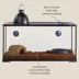 Thrive Temperate Reptile Terrarium Essentials Kit - 40 Gallon image thumbnail 3