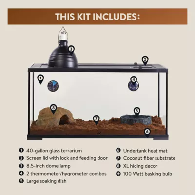 40 gallon snake starter kit hotsell