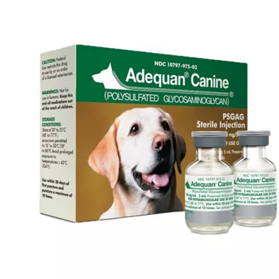 Product Adequan Canine Injection for Dogs, 100 mg/mL, 5 mL Vial