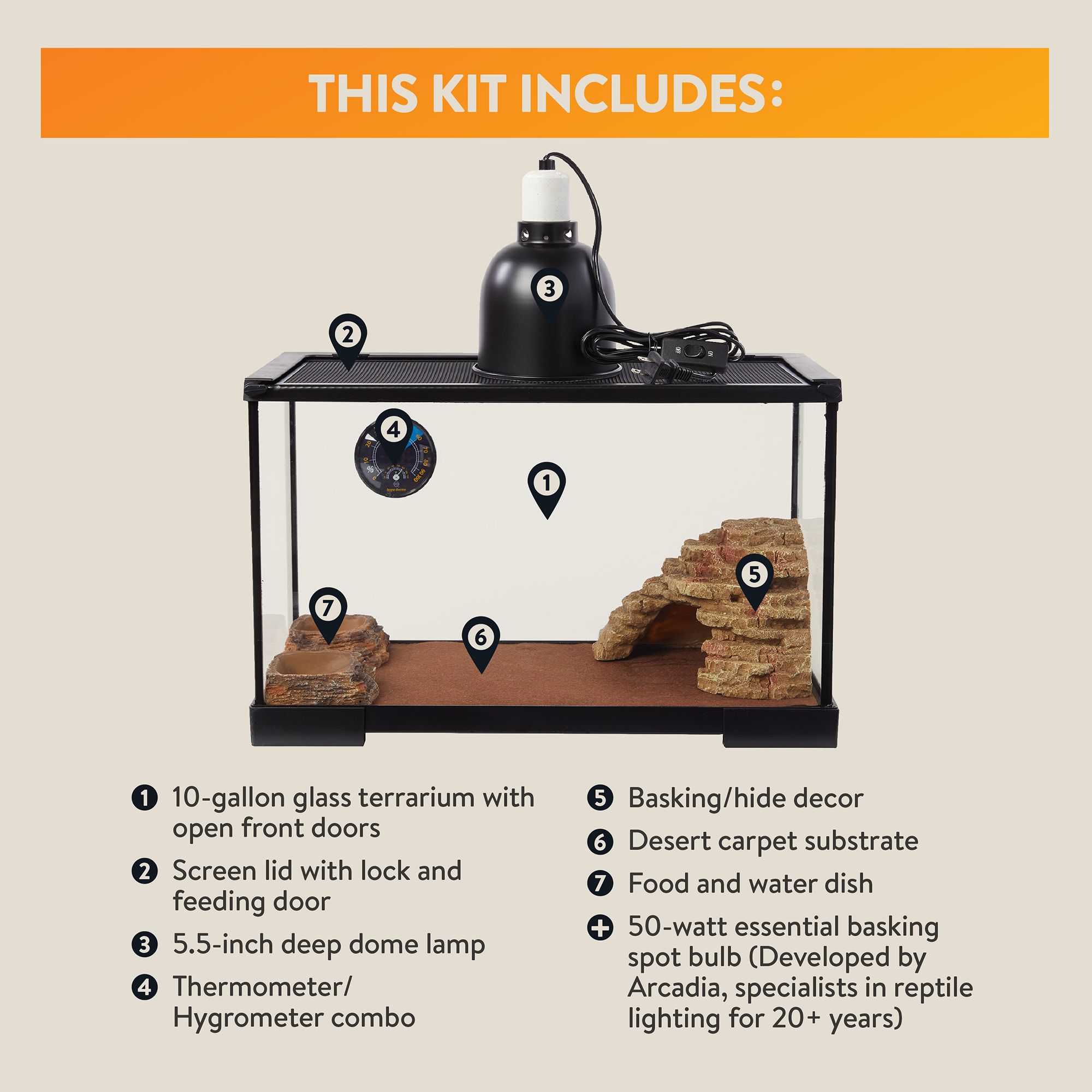 Thrive Desert Reptile Terrarium Essentials Kit - Desert Reptile Terrarium Kit - 10 gallon - 20x10x12 - thumbnail 5