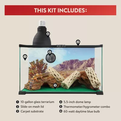 Product Thrive Reptile Terrarium Essentials Kit - 10 Gallon