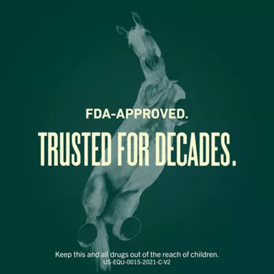 GastroGard for Horses - Image 3