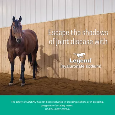 Legend Multi Dose (hyaluronate sodium) Injectable Solution for Horses, 20-mL Vial - Image 2