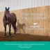 Legend Multi Dose (hyaluronate sodium) Injectable Solution for Horses, 20-mL Vial image thumbnail 2