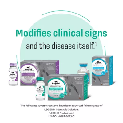 Legend Multi Dose (hyaluronate sodium) Injectable Solution for Horses, 20-mL Vial - Image 4
