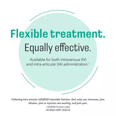 Legend Multi Dose (hyaluronate sodium) Injectable Solution for Horses, 20-mL Vial - Image 5