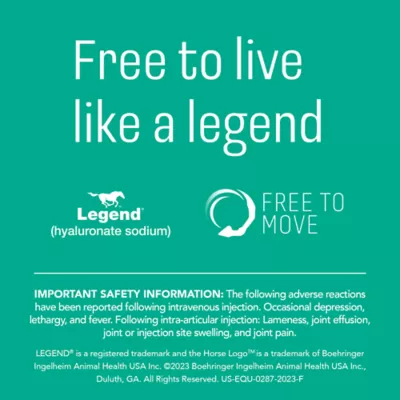 Legend Multi Dose (hyaluronate sodium) Injectable Solution for Horses, 20-mL Vial - Image 7