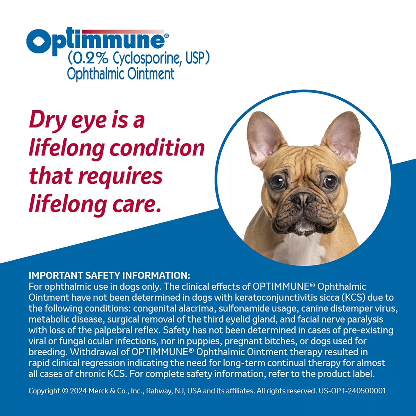 Optimmune Ophthalmic Ointment 0.2 3.5g Tube