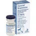 Zycortal Suspension for Dogs, 25 mg/ml, 4 ml Vial image thumbnail 1