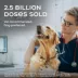Heartgard Plus Chewables For Dogs 1-25 lbs Blue image thumbnail 6