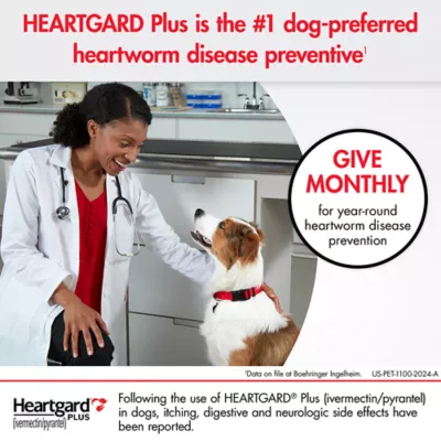 Product Heartgard Plus Chewables For Dogs 51-100 lbs Brown