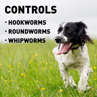 Interceptor for Dogs and Cats | 11-25 lbs Dogs / 1.5-6 lbs Cats | 6-Month Supply - Image 5