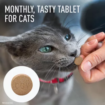 Interceptor for Dogs and Cats | 51-100 lbs Dogs / 12.1-25 lbs Cats | 6-Month Supply - Image 4