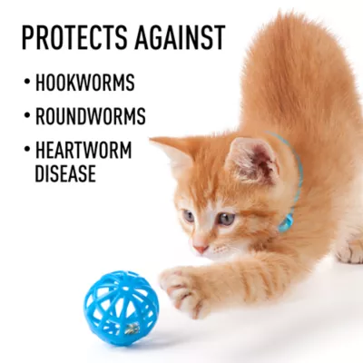 Interceptor for Dogs and Cats | 51-100 lbs Dogs / 12.1-25 lbs Cats | 6-Month Supply - Image 8