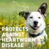Interceptor for Dogs and Cats | 51-100 lbs Dogs / 12.1-25 lbs Cats | 6-Month Supply image thumbnail 9