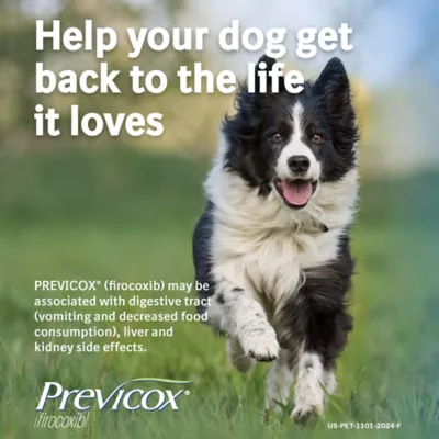 Previcox (firocoxib) Oral Chewable Tablets for Dogs, 57 mg, 30 Count, 60 Count - Image 8