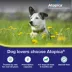 Atopica Dog Atopica | Dermatitis Treatment | Itch Relief for Dogs | Oral Capsules | 50 mg image thumbnail 2