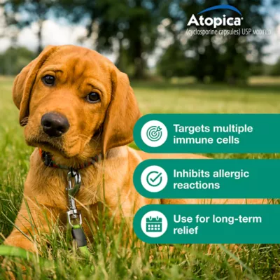 Atopica Dog Atopica | Dermatitis Treatment | Itch Relief for Dogs | Oral Capsules | 50 mg - Image 5