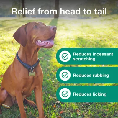 Atopica Dog Atopica | Dermatitis Treatment | Itch Relief for Dogs | Oral Capsules | 100 mg - Image 6