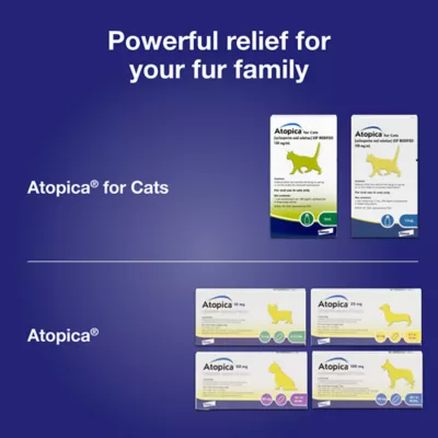 Atopica Dog Atopica | Dermatitis Treatment | Itch Relief for Dogs | Oral Capsules | 100 mg - Image 8