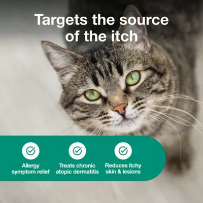 Atopica Cat Atopica - Allergic Dermatitis Treatment - Cat Itch Relief - Oral Solution - 5ml & 17ml - Image 3