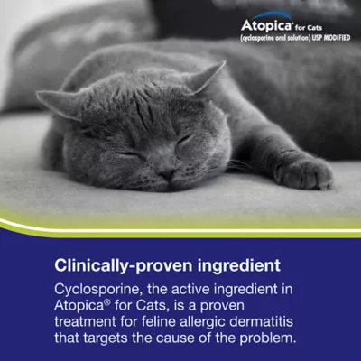 Atopica Cat Atopica - Allergic Dermatitis Treatment - Cat Itch Relief - Oral Solution - 5ml & 17ml - Image 9