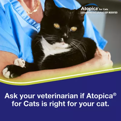 Atopica Cat Atopica | Allergic Dermatitis Treatment | Cat Itch Relief | Oral Solution | 5ml & 17ml - Image 4