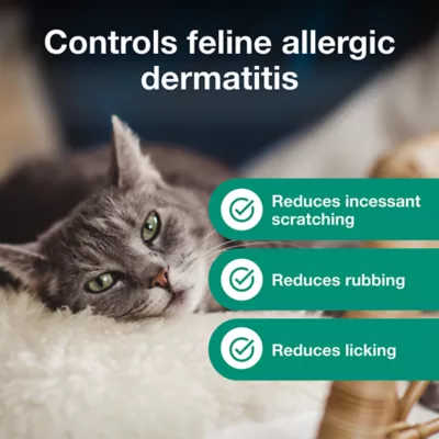 Atopica Cat Atopica | Allergic Dermatitis Treatment | Cat Itch Relief | Oral Solution | 5ml & 17ml - Image 6