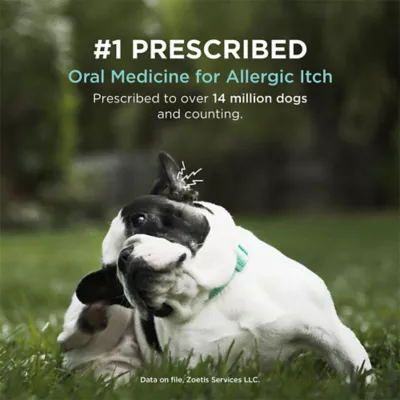 Apoquel (oclacitinib) Tablets for Dogs - 3.6mg, 5.4mg, or 16mg - Available in Multiple Counts - Image 3