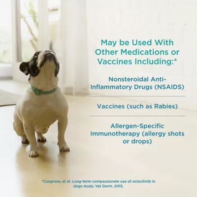 Apoquel (oclacitinib) Tablets for Dogs - 3.6mg, 5.4mg, or 16mg - Available in Multiple Counts - Image 6