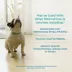 Apoquel (oclacitinib) Tablets for Dogs - 3.6mg, 5.4mg, or 16mg - Available in Multiple Counts image thumbnail 6