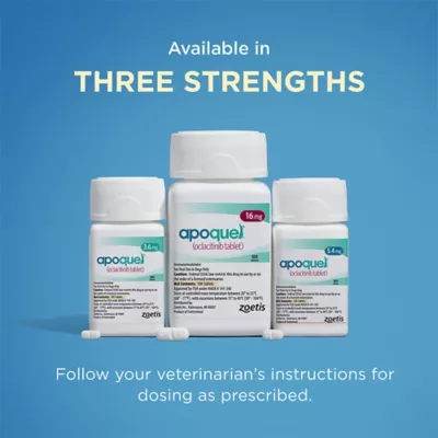 Apoquel (oclacitinib) Tablets for Dogs - 3.6mg, 5.4mg, or 16mg - Available in Multiple Counts - Image 7