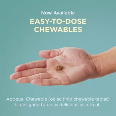 Apoquel (oclacitinib) Tablets for Dogs - 3.6mg, 5.4mg, or 16mg - Available in Multiple Counts - Image 8