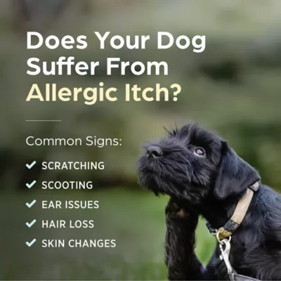 Apoquel (oclacitinib) Tablets for Dogs - 3.6mg, 5.4mg, or 16mg - Available in Multiple Counts - Image 9