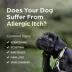 Apoquel (oclacitinib) Tablets for Dogs - 3.6mg, 5.4mg, or 16mg - Available in Multiple Counts image thumbnail 9