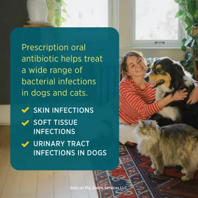 Zeniquin (marbofloxacin) Tablets for Dogs & Cats - 25mg, 50mg, 100mg, or 200mg - Single Tablet - Image 3