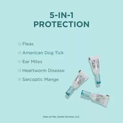 Revolution (selamectin) Topical for Dogs - 5.1-10 (Purple) - 3 or 6 Month Supply - Image 3