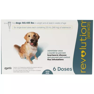 Product Revolution Topical for Dogs 40.1-85 Teal - 3 Month or 6 Month Supply