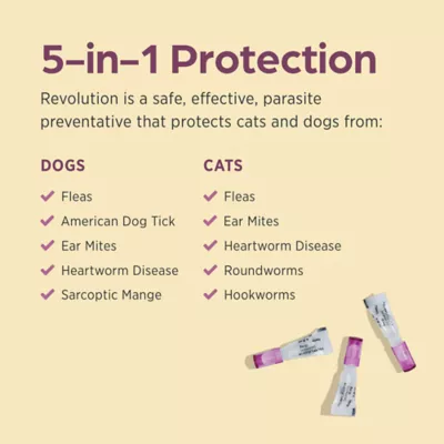 Revolution (selamectin) Topical for Puppies and Kittens - Up to 5 lbs (Mauve) - 3 Month Supply - Image 3