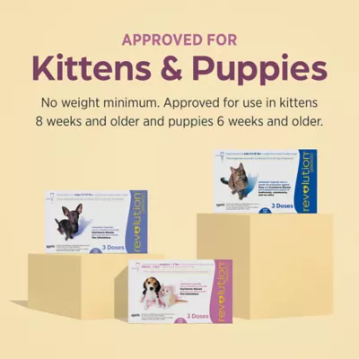 Revolution (selamectin) Topical for Puppies and Kittens - Up to 5 lbs (Mauve) - 3 Month Supply - Image 7