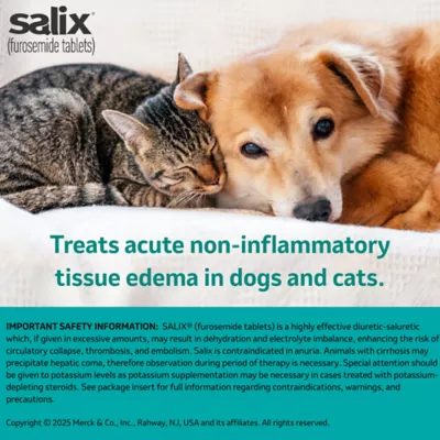 Salix (Furosemide) Tablets for Dogs & Cats - 12.5 mg, 50 mg - Single Tablet - Image 3