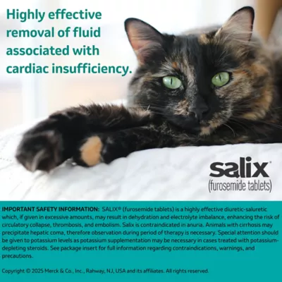 Salix (Furosemide) Tablets for Dogs & Cats - 12.5 mg, 50 mg - Single Tablet - Image 5