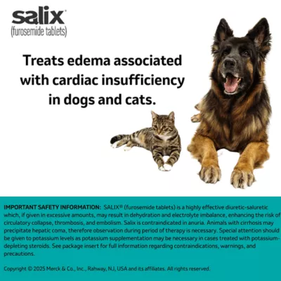 Salix (Furosemide) Tablets for Dogs & Cats - 12.5 mg, 50 mg - Single Tablet - Image 6