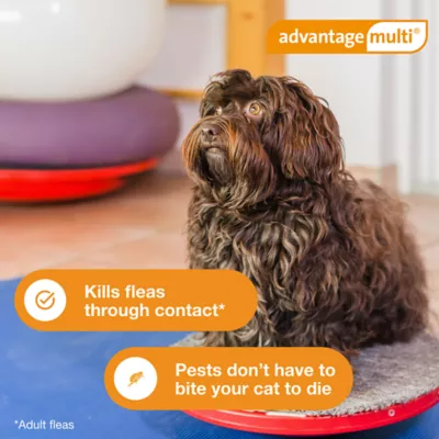 Advantage Multi Topical for Dogs 3-9 lbs Green - Image 7