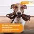 Advantage Multi Dog 6-in-1 Heartworm Prevention | Kills Fleas | Dogs 9.1-20 lbs. | 6-Month Supply image thumbnail 6