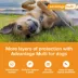 Advantage Multi Dog 6-in-1 Heartworm Prevention | Kills Fleas | Dogs 20.1-55 lbs. | 6-Month Supply image thumbnail 2
